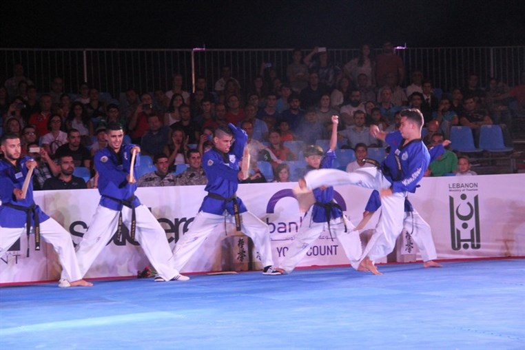 Martial Arts Festival